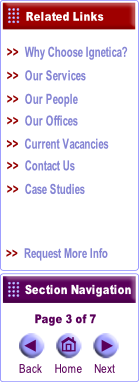 Why Choose Ignetica?